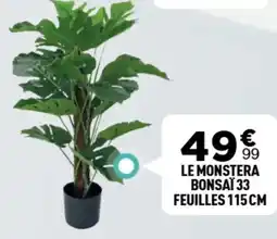 Centrakor Le monstera bonsaï 33 feuilles 115 cm offre