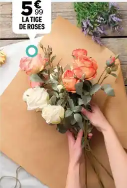 Centrakor La tige de roses offre