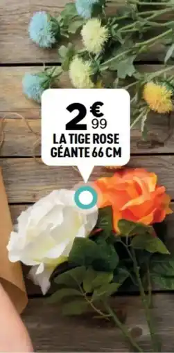 Centrakor La tige rose géante 66 cm offre