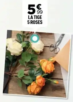 Centrakor La tige 5 roses offre