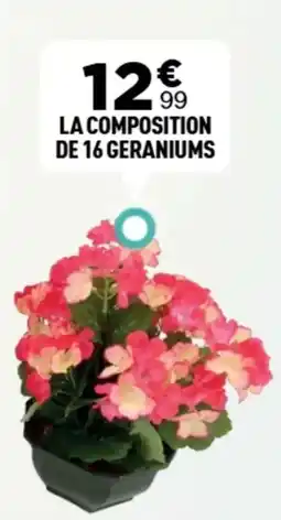 Centrakor La composition de 16 geraniums offre