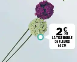 Centrakor La tige boule de fleurs 66cm offre