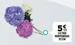 Centrakor La tige hortensias 92cm offre