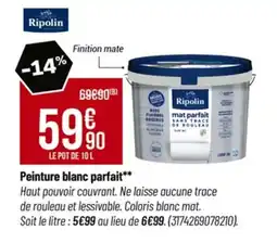 Tridôme RIPOLIN Peinture blanc parfait offre