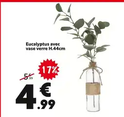 Maxi Bazar Eucalyptus avec vase verre offre