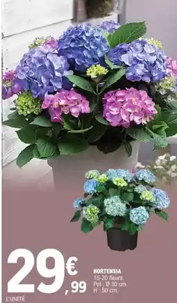 E.Leclerc Hortensia offre