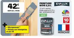 Brico Dépôt EVALUX Peinture offre