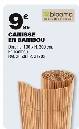 Brico Dépôt Canisse en bambou offre