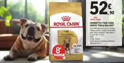 E.Leclerc Brico Croquettes pour chien adulte frech bulldog offre