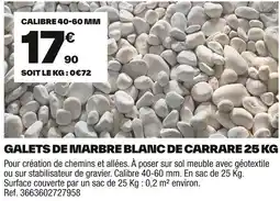 Brico Dépôt Galets de marbre blanc de carrare offre