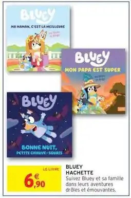 Intermarché Hyper Bluey - Le Livre offre