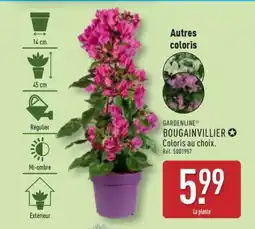 ALDI BOUGAINVILLIER offre