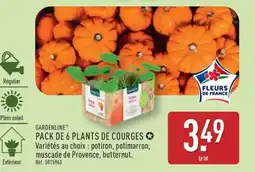 ALDI PACK DE 6 PLANTS DE COURGES offre