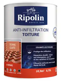 Brico Dépôt Anti-infiltration toiture offre