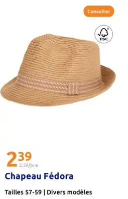 Action Chapeau Fédora offre