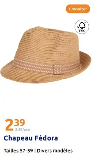Action Chapeau Fédora offre