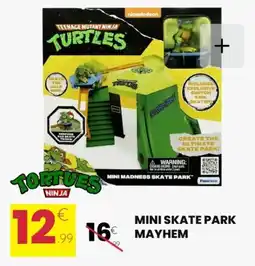 Mini skate park mayhem
