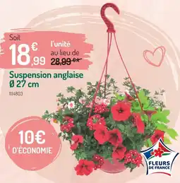 Botanic Suspension anglaise offre