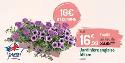 Botanic Jardinière anglaise offre