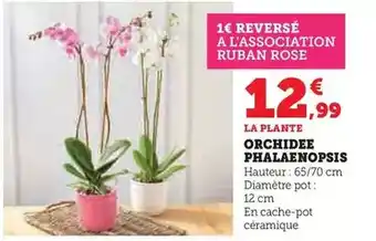 Thiriet Filet de bar, sauce au petit chablis, purée de potimarron et légumes offre