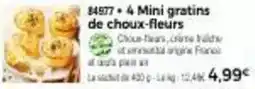 Thiriet Total - 4 mini gratins de choux-fleurs offre