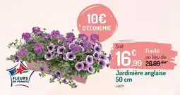 Botanic Jardinière anglaise 50 cm offre