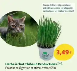 Auchan Supermarché Bien - cuisse de poulet roti dans nos magasins offre