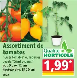 Norma Assortiment de tomates offre