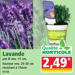 Norma Lavande offre