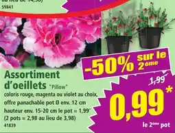 Norma Assortiment d'oeillets pillow offre