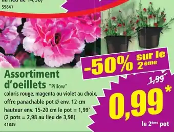 Norma Assortiment d'oeillets pillow offre