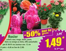 Norma Rosier offre