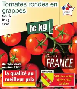 Norma Tomates rondes en grappes offre