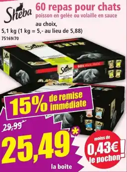 Norma 60 repas pour chats offre