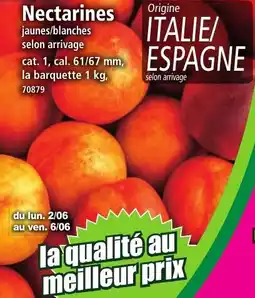Norma Nectarines offre