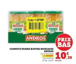 Super U COMPOTE POMME NATURE MORCEAUX ANDROS offre