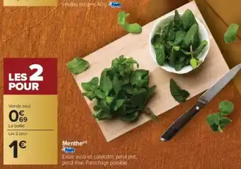 Carrefour Menthe offre