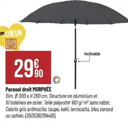 Bricorama MORPHÉE Parasol droit offre