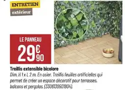 Bricorama Treillis extensible bicolore offre