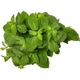 Carrefour Market Menthe fraîche offre