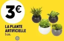 Centrakor La plante artificielle offre