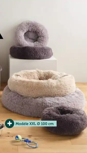 Centrakor Le coussin fluffy offre