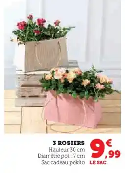 Super U 3 rosiers offre