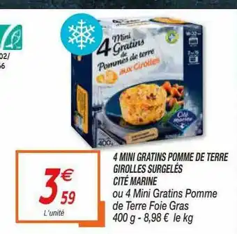 Netto 4 Mini Gratins Pomme De Terre Girolles Surgelés Cité Marine offre