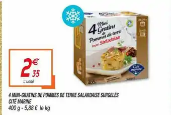 Netto 4 Mini-gratins De Pommes De Terre Salardaise Surgelés Cité Marine offre