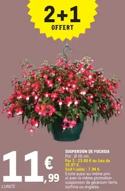 E.Leclerc Suspension de fuchsia offre
