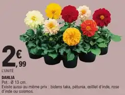 E.Leclerc Dahlia offre