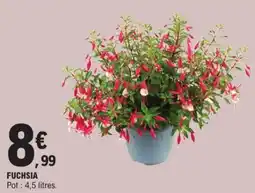 E.Leclerc Fuchsia offre