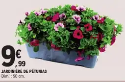 E.Leclerc Jardinière de pétunias offre