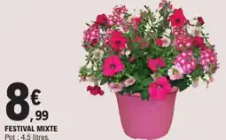 E.Leclerc Festival mixte offre